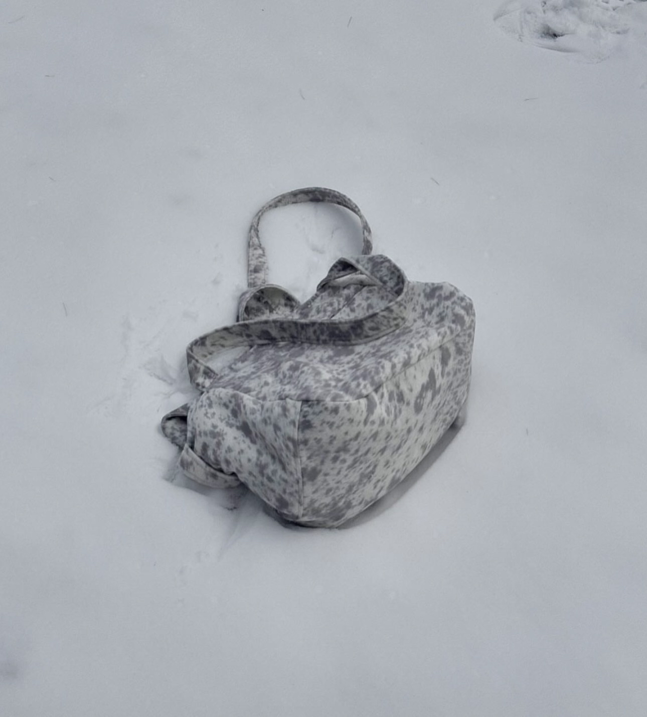 The bag